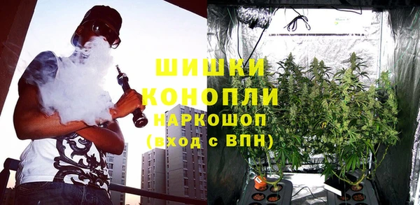 стаф Балахна
