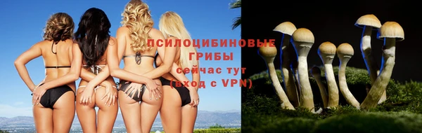 стаф Балахна