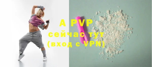 индика Аркадак
