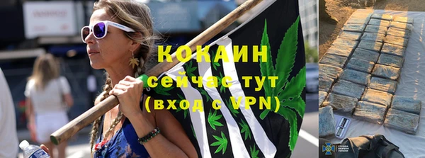 стаф Балахна