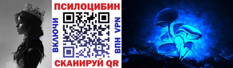 Псилоцибиновые грибы Cubensis  блэк спрут   Тихвин  цены  